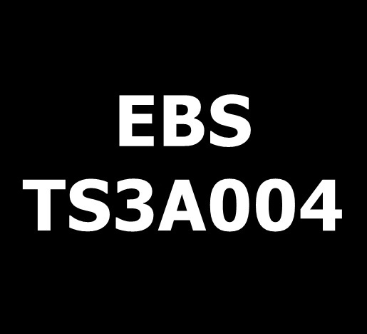 EBS TS3A004 KOMPATIBEL MEK Allzweck Tinte, Green 1 Liter