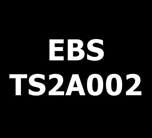 EBS TS2A002 kompatibel Ethanol Black DOD Tinte für poröse Untergründe 1 Liter