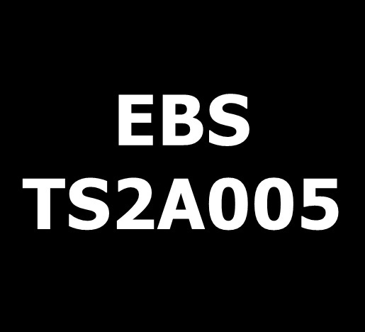 EBS TS2A005 kompatibel MEK Black DOD Allzwecktinte Tinte 1 Liter